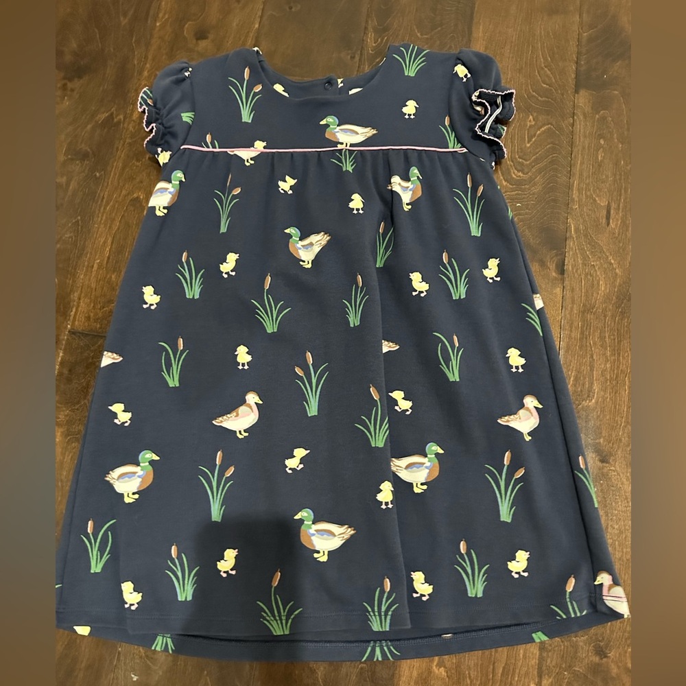 NWOT Beaufort Bonnet Company Mallard Dress - Size 8